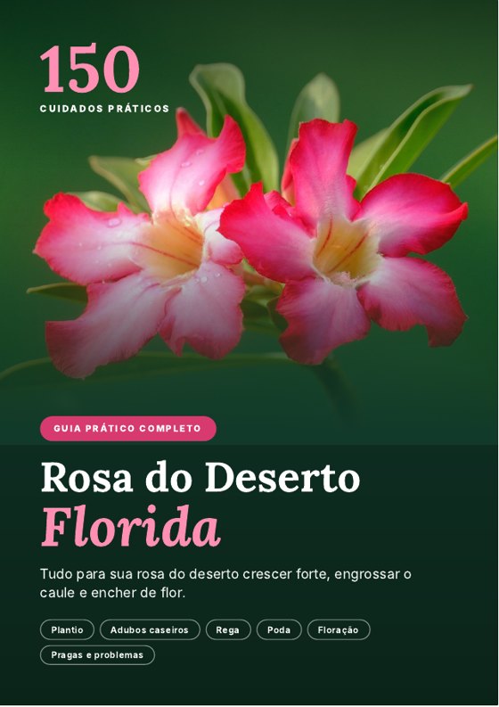 Capa do guia Rosa do Deserto Florida