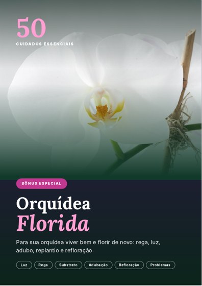 Capa do bônus Orquídea Florida