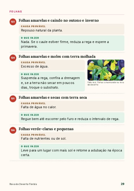 Página: problemas nas folhas, com fotos